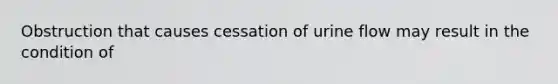 Obstruction that causes cessation of urine flow may result in the condition of