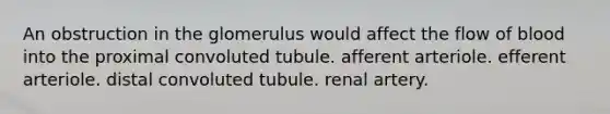 An obstruction in the glomerulus would affect the flow of blood into the proximal convoluted tubule. afferent arteriole. efferent arteriole. distal convoluted tubule. renal artery.