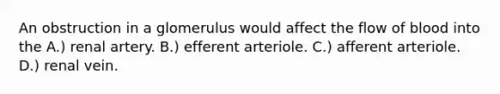 An obstruction in a glomerulus would affect the flow of blood into the A.) renal artery. B.) efferent arteriole. C.) afferent arteriole. D.) renal vein.