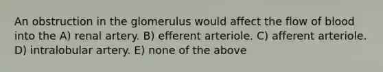 An obstruction in the glomerulus would affect the flow of blood into the A) renal artery. B) efferent arteriole. C) afferent arteriole. D) intralobular artery. E) none of the above