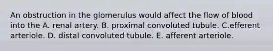 An obstruction in the glomerulus would affect the flow of blood into the A. renal artery. B. proximal convoluted tubule. C.efferent arteriole. D. distal convoluted tubule. E. afferent arteriole.