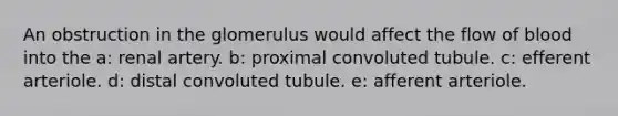 An obstruction in the glomerulus would affect the flow of blood into the a: renal artery. b: proximal convoluted tubule. c: efferent arteriole. d: distal convoluted tubule. e: afferent arteriole.