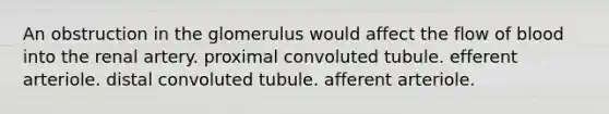 An obstruction in the glomerulus would affect the flow of blood into the renal artery. proximal convoluted tubule. efferent arteriole. distal convoluted tubule. afferent arteriole.