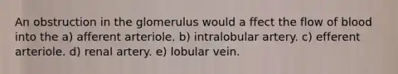 An obstruction in the glomerulus would a ffect the flow of blood into the a) afferent arteriole. b) intralobular artery. c) efferent arteriole. d) renal artery. e) lobular vein.