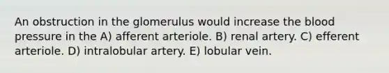 An obstruction in the glomerulus would increase the blood pressure in the A) afferent arteriole. B) renal artery. C) efferent arteriole. D) intralobular artery. E) lobular vein.