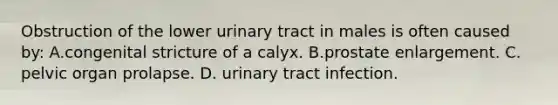 Obstruction of the lower urinary tract in males is often caused by: A.congenital stricture of a calyx. B.prostate enlargement. C. pelvic organ prolapse. D. urinary tract infection.