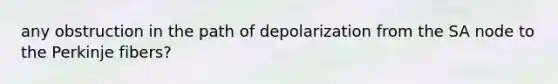 any obstruction in the path of depolarization from the SA node to the Perkinje fibers?