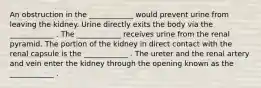 An obstruction in the ____________ would prevent urine from leaving the kidney. Urine directly exits the body via the ____________ . The ____________ receives urine from the renal pyramid. The portion of the kidney in direct contact with the renal capsule is the ____________ . The ureter and the renal artery and vein enter the kidney through the opening known as the ____________ .