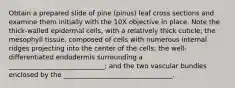Obtain a prepared slide of pine (pinus) leaf cross sections and examine them initially with the 10X objective in place. Note the thick-walled epidermal cells, with a relatively thick cuticle; the mesophyll tissue, composed of cells with numerous internal ridges projecting into the center of the cells; the well-differentiated endodermis surrounding a _____________________________; and the two vascular bundles enclosed by the _________________________________.
