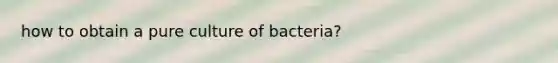 how to obtain a pure culture of bacteria?