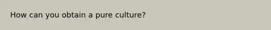 How can you obtain a pure culture?