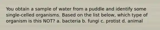 You obtain a sample of water from a puddle and identify some single-celled organisms. Based on the list below, which type of organism is this NOT? a. bacteria b. fungi c. protist d. animal