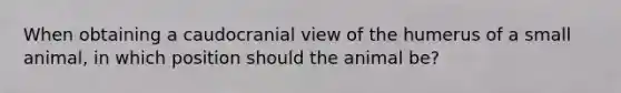 When obtaining a caudocranial view of the humerus of a small animal, in which position should the animal be?