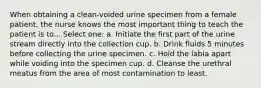 When obtaining a clean-voided urine specimen from a female patient, the nurse knows the most important thing to teach the patient is to... Select one: a. Initiate the first part of the urine stream directly into the collection cup. b. Drink fluids 5 minutes before collecting the urine specimen. c. Hold the labia apart while voiding into the specimen cup. d. Cleanse the urethral meatus from the area of most contamination to least.