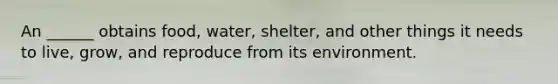 An ______ obtains food, water, shelter, and other things it needs to live, grow, and reproduce from its environment.