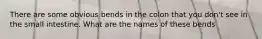 There are some obvious bends in the colon that you don't see in the small intestine. What are the names of these bends