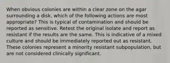 When obvious colonies are within a clear zone on the agar surrounding a disk, which of the following actions are most appropriate? This is typical of contamination and should be reported as sensitive. Retest the original isolate and report as resistant if the results are the same. This is indicative of a mixed culture and should be immediately reported out as resistant. These colonies represent a minority resistant subpopulation, but are not considered clinically significant.