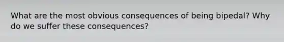 What are the most obvious consequences of being bipedal? Why do we suffer these consequences?