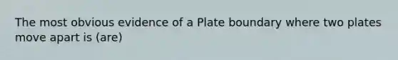 The most obvious evidence of a Plate boundary where two plates move apart is (are)