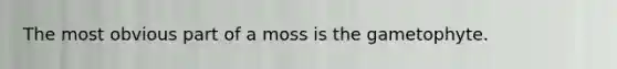 The most obvious part of a moss is the gametophyte.