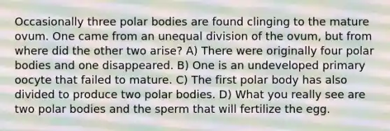 Occasionally three polar bodies are found clinging to the mature ovum. One came from an unequal division of the ovum, but from where did the other two arise? A) There were originally four polar bodies and one disappeared. B) One is an undeveloped primary oocyte that failed to mature. C) The first polar body has also divided to produce two polar bodies. D) What you really see are two polar bodies and the sperm that will fertilize the egg.