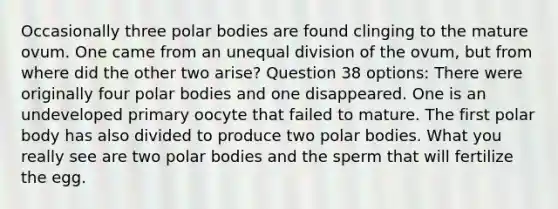 Occasionally three polar bodies are found clinging to the mature ovum. One came from an unequal division of the ovum, but from where did the other two arise? Question 38 options: There were originally four polar bodies and one disappeared. One is an undeveloped primary oocyte that failed to mature. The first polar body has also divided to produce two polar bodies. What you really see are two polar bodies and the sperm that will fertilize the egg.