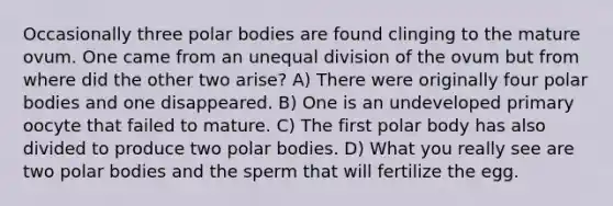 Occasionally three polar bodies are found clinging to the mature ovum. One came from an unequal division of the ovum but from where did the other two arise? A) There were originally four polar bodies and one disappeared. B) One is an undeveloped primary oocyte that failed to mature. C) The first polar body has also divided to produce two polar bodies. D) What you really see are two polar bodies and the sperm that will fertilize the egg.