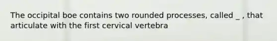 The occipital boe contains two rounded processes, called _ , that articulate with the first cervical vertebra