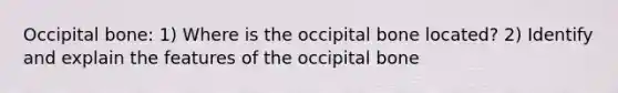 Occipital bone: 1) Where is the occipital bone located? 2) Identify and explain the features of the occipital bone