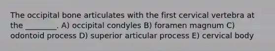 The occipital bone articulates with the first cervical vertebra at the ________. A) occipital condyles B) foramen magnum C) odontoid process D) superior articular process E) cervical body