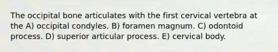 The occipital bone articulates with the first cervical vertebra at the A) occipital condyles. B) foramen magnum. C) odontoid process. D) superior articular process. E) cervical body.