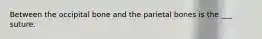 Between the occipital bone and the parietal bones is the ___ suture.