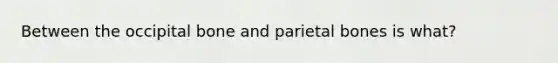 Between the occipital bone and parietal bones is what?