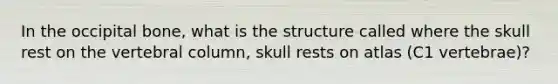 In the occipital bone, what is the structure called where the skull rest on the vertebral column, skull rests on atlas (C1 vertebrae)?