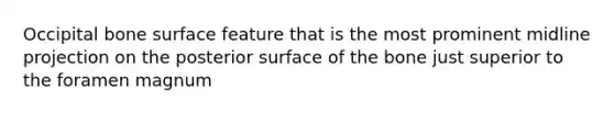 Occipital bone surface feature that is the most prominent midline projection on the posterior surface of the bone just superior to the foramen magnum