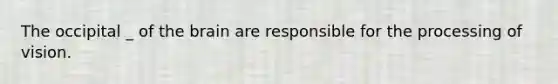 The occipital _ of the brain are responsible for the processing of vision.