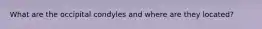 What are the occipital condyles and where are they located?