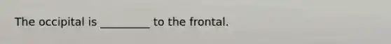 The occipital is _________ to the frontal.