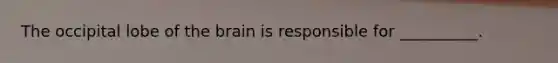 The occipital lobe of the brain is responsible for __________.
