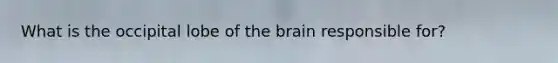 What is the occipital lobe of the brain responsible for?