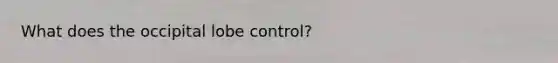 What does the occipital lobe control?