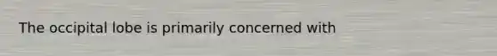 The occipital lobe is primarily concerned with