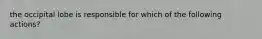 the occipital lobe is responsible for which of the following actions?