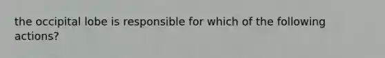 the occipital lobe is responsible for which of the following actions?