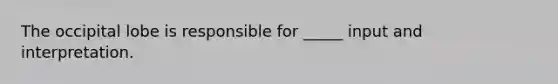 The occipital lobe is responsible for _____ input and interpretation.