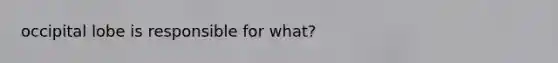 occipital lobe is responsible for what?