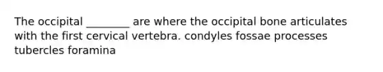 The occipital ________ are where the occipital bone articulates with the first cervical vertebra. condyles fossae processes tubercles foramina