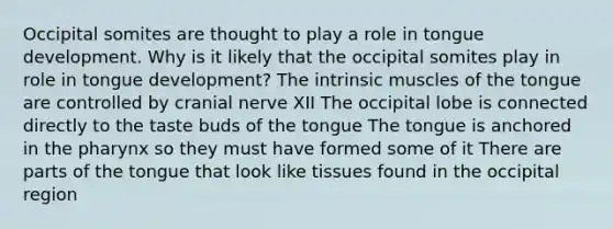 Occipital somites are thought to play a role in tongue development. Why is it likely that the occipital somites play in role in tongue development? The intrinsic muscles of the tongue are controlled by cranial nerve XII The occipital lobe is connected directly to the taste buds of the tongue The tongue is anchored in the pharynx so they must have formed some of it There are parts of the tongue that look like tissues found in the occipital region