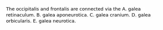 The occipitalis and frontalis are connected via the A. galea retinaculum. B. galea aponeurotica. C. galea cranium. D. galea orbicularis. E. galea neurotica.