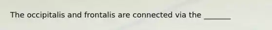 The occipitalis and frontalis are connected via the _______